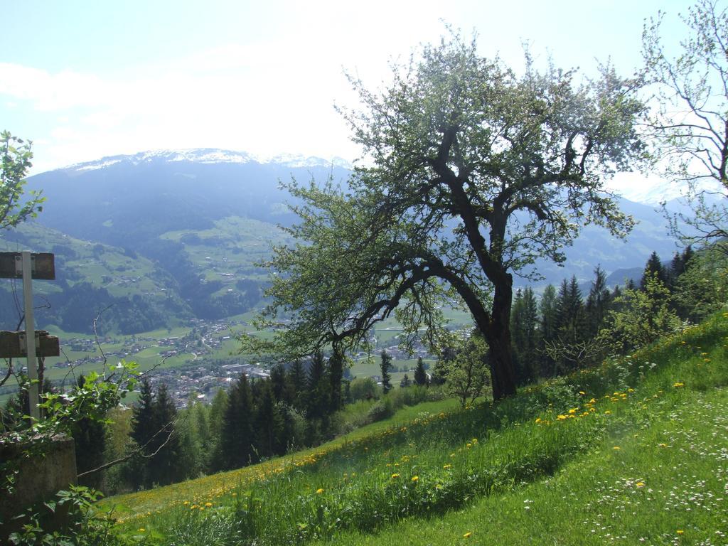 Ferienwohnung Lehenhof Ried im Zillertal Kamer foto